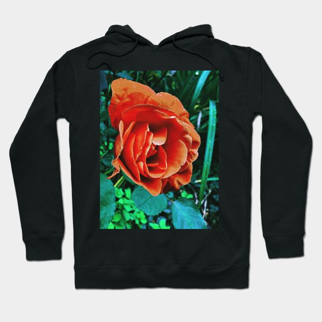 Orange Chinese Rose Hoodie by kcrystalfriend